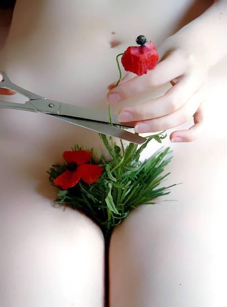 Toma, de mi jardín, te regalo esta flor.