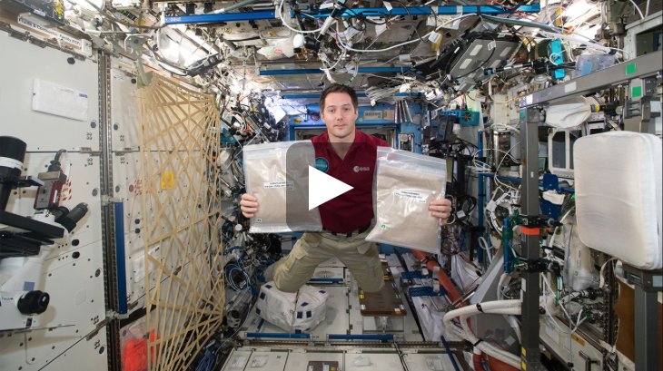 It's #TomatoTuesday! Let's talk Tomatosphere™ with <a href="/esa/">European Space Agency</a> astronaut Thomas Pesquet aboard the <a href="/Space_Station/">International Space Station</a> asc-csa.gc.ca/eng/search/vid… <a href="/csa_asc/">Canadian Space Agency</a>