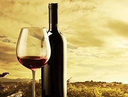 CATADELVINOcom's tweet photo. ¿Está de moda saber de #vinos? #enoturismo #mmoda #viajes #bodegas https://t.co/TvMfBtGYjm https://t.co/qpmkzqd3Ks