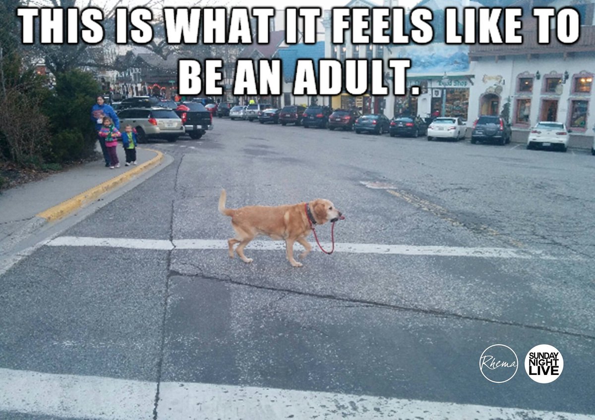 RhemaYA's tweet photo. You do not have to adult alone.
#iConnect2017
#Awakening
1-3 September
WILL YOU BE THERE? https://t.co/jHzr3PFIxp