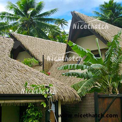 nice_thatch's tweet image. what kind of synthetic thatch roof tile are you looking for?
#palmleafthatch #1000x600mm #PEmaterial for your option.