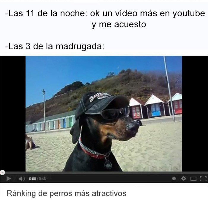 yisucrist's tweet photo. mi dia a dia https://t.co/F2yoLOwmSL