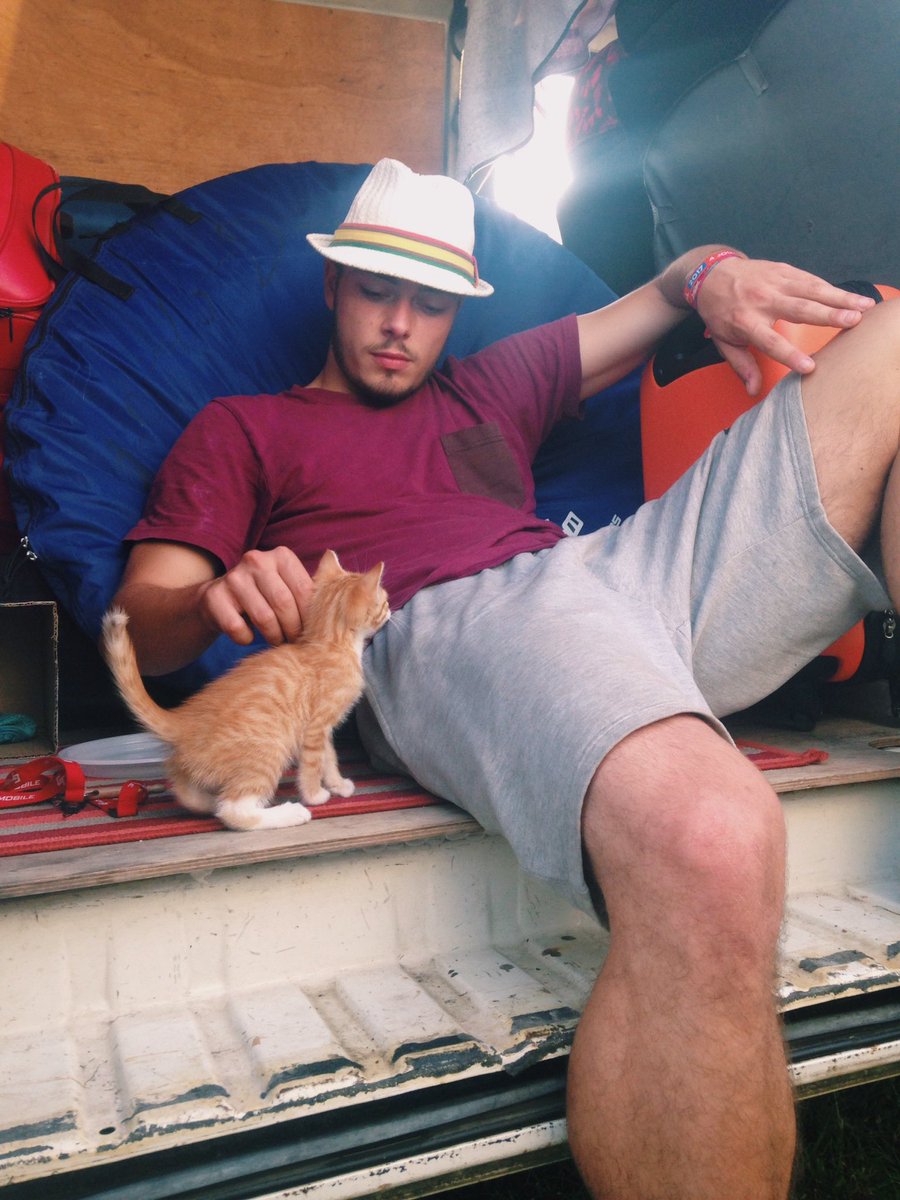 ilionaplt's tweet photo. j'adore aller au dubcamp et trouver un chaton abandonné

bienvenu petit Shaka 
#dubcampfestival #jahshaka https://t.co/qvJlKHMjtQ