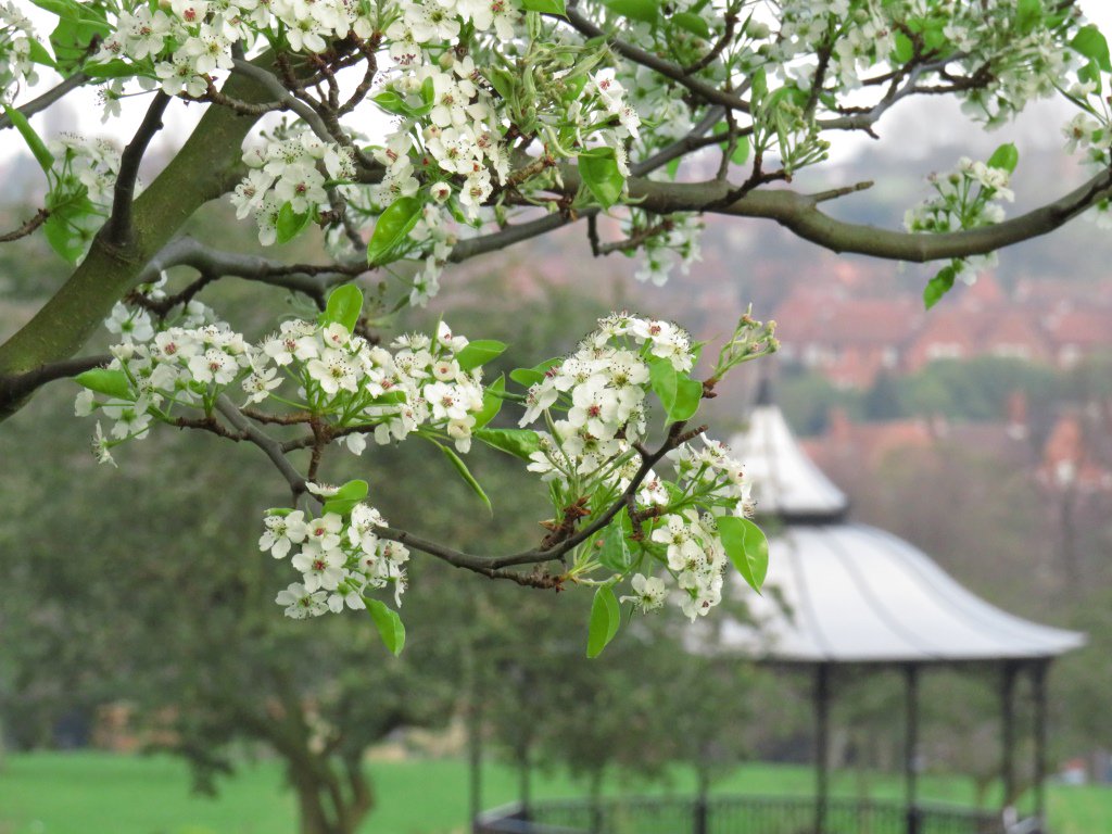 Seven of our parks have been won a Green Flag Award again this year. See what's on offer at your local park #LoveParks   #GFAWinners