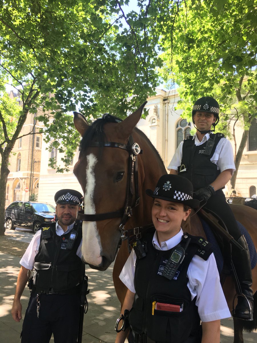 MPSHolborn's tweet photo. Some joint patrols with our #mountedbranch around WC1 #Holborn #horse #dailypatrols #outandabout https://t.co/NnpLyrWf1z