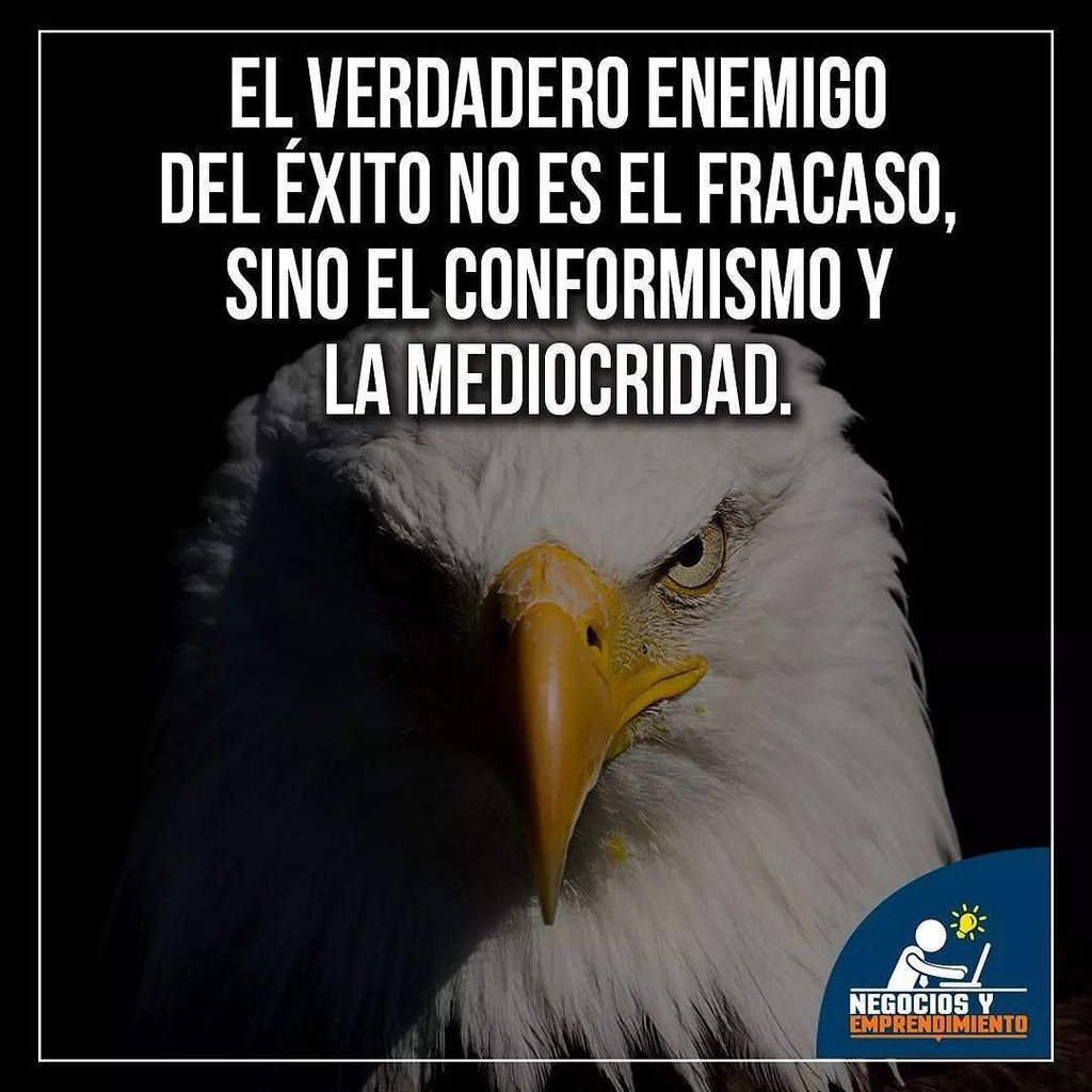 negociosyempren's tweet photo. El conformismo y la mediocridad son enemigos del éxito 👊��� #EstiloEmprendedor #Emprendedor #Emprendimiento #Entrepe… https://t.co/FGiQDXzyyB https://t.co/x6vV60JHA4