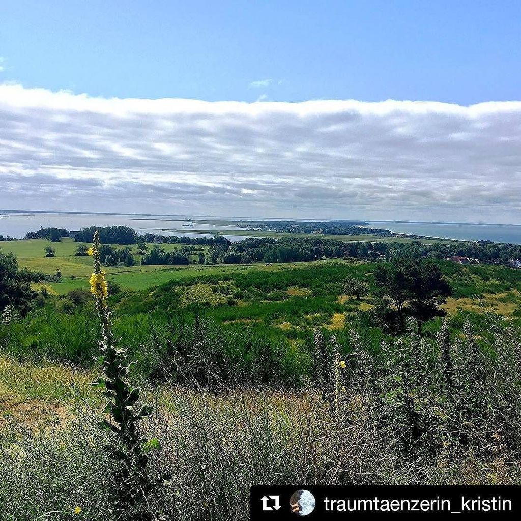 hiddenseeforum's tweet photo. Inselblick. #Repost von @traumtaenzerin_kristin.
・・・
#inselblick über #hiddensee 💙 #ostsee #hiddenseeliebe #hidden… https://t.co/nhx4QhADdg https://t.co/pMx9PLAqgI