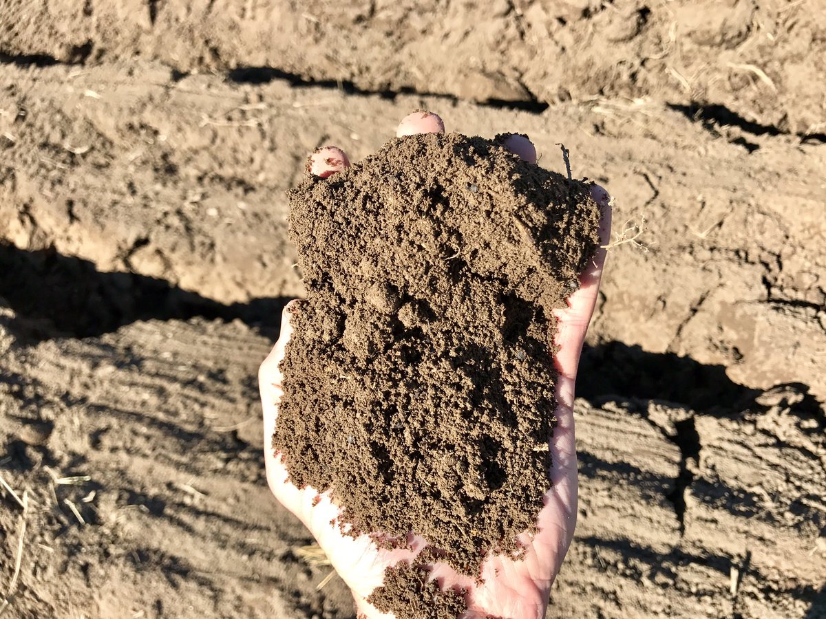 dwkamfer3's tweet photo. New table grape plantings in Nuy Valley, Western Cape. Growing Western Cape agriculture. Creating jobs. https://t.co/v7xiFhwSVh