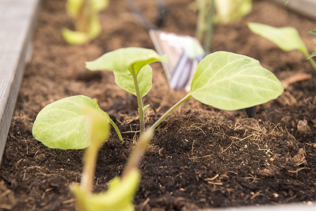 Just one year ago, our colleagues at #HenkelFrance took the company's sustainability to another level! 🌱🌾🌿