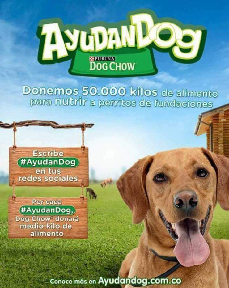 greg_cardenasm's tweet photo. Poniendo el hashtag #AyudanDOG  en cualquiera de tus redes sociales, Purina donará medio kilo de alimento a para perros
Copia y pega https://t.co/x2UIj6XICf