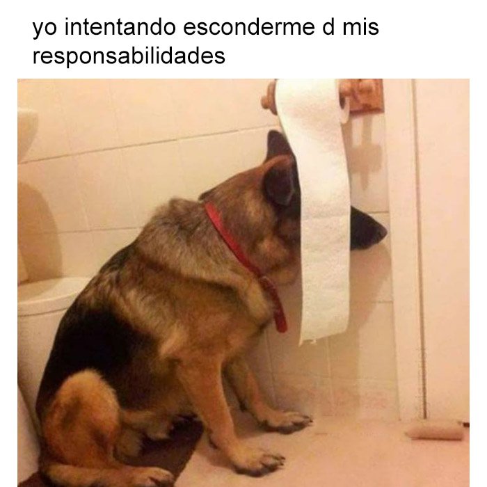 jamás me encontrareis