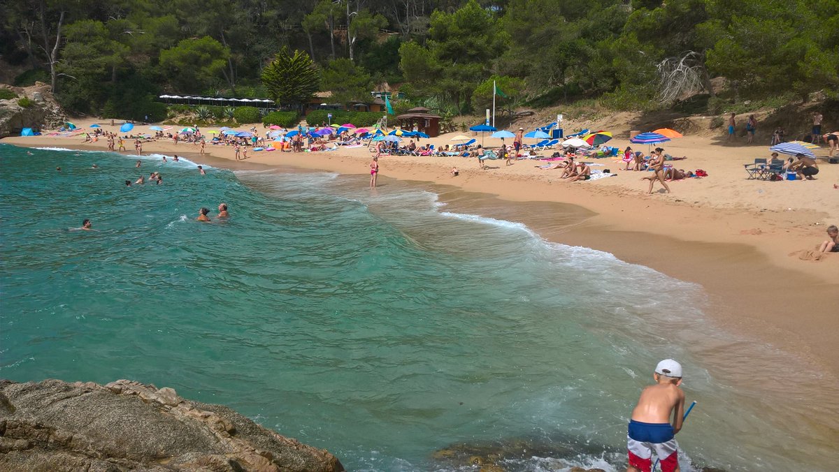 Mello v Kol tweet media