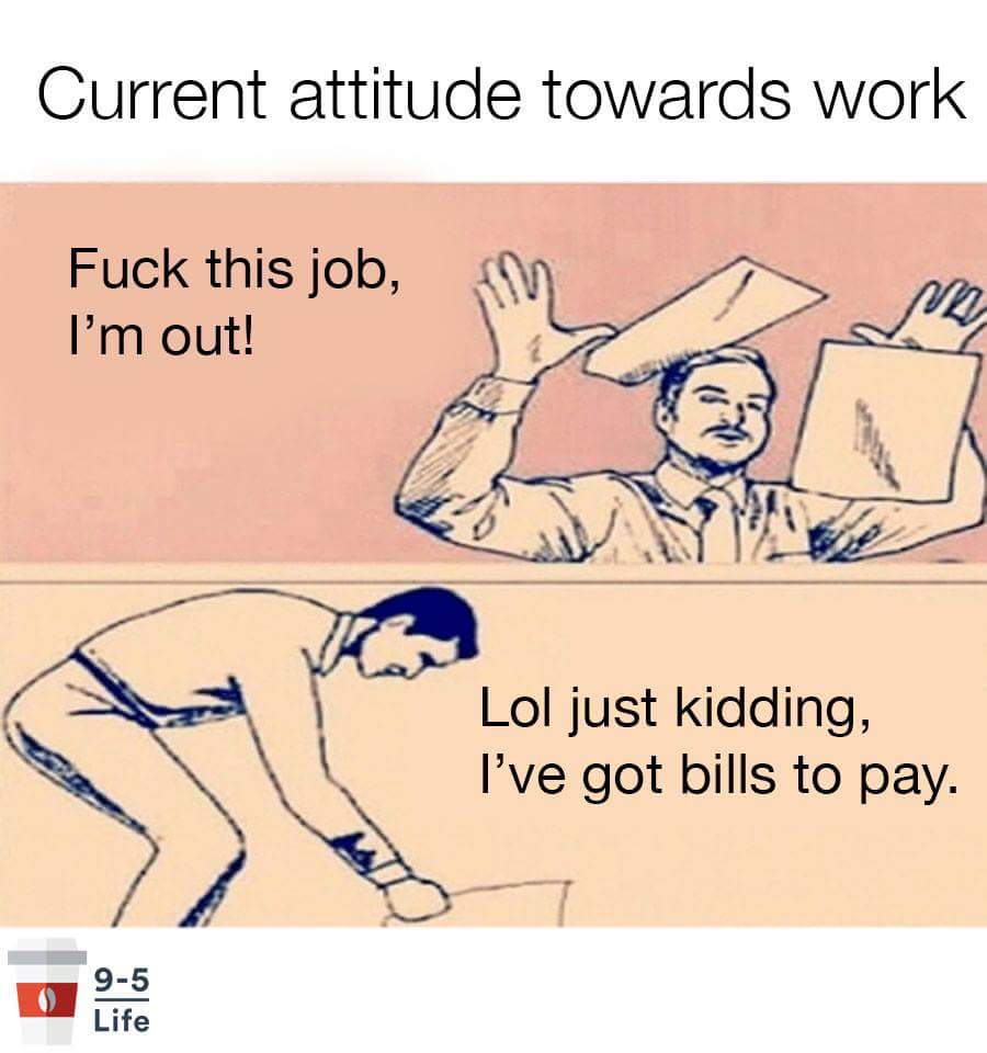 cashierfodayz's tweet image. Feels