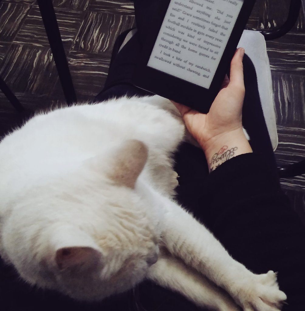 yvo_about_books's tweet photo. Current status: trying to read #BookishlyEverAfter while Jasmine violently attacks my arm. 😆 #amreading #catsoftwitter https://t.co/eR8zTqxacP