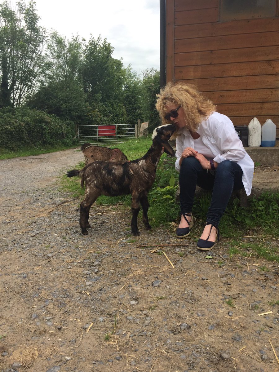 Carolin69829317's tweet photo. Relaxing day off, with kisses from the babies in the sunshine x https://t.co/GfLdsbkOuv