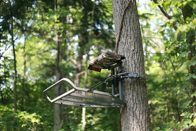 Outdoor_Warrior's tweet image. Deer hunting tips that will help you hunt in public lands. Know what those tips are here. 👉 bit.ly/2sTqxlI #deerhuntingtips