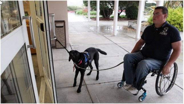 USA Service Dog tweet media