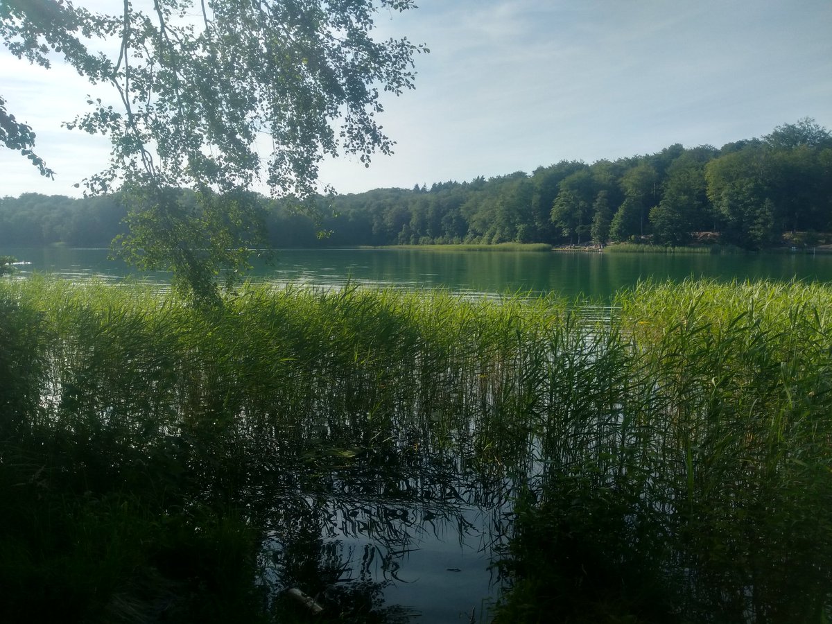 Juliane Rosin On Twitter Endlich Sommer In Brandenburg