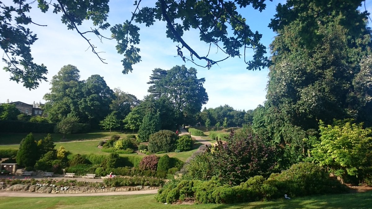 Local & Live tweet media