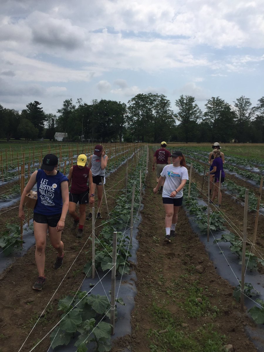 St_Gabes_YNIA's tweet photo. @St_Gabes_YNIA halfway thru Day 2 @CHPINC.  Having a great time &amp; enjoying getting things done #CHPVolunteer #YNIA2017 #LoveServeTransform https://t.co/UQaLnBTbHr