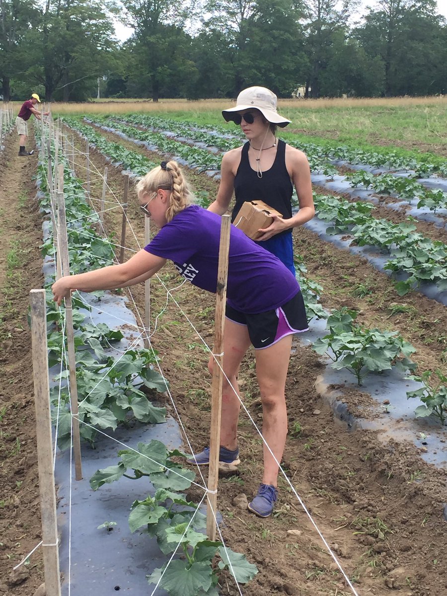 St_Gabes_YNIA's tweet photo. @St_Gabes_YNIA halfway thru Day 2 @CHPINC.  Having a great time &amp; enjoying getting things done #CHPVolunteer #YNIA2017 #LoveServeTransform https://t.co/UQaLnBTbHr