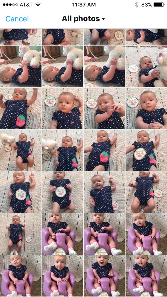 classykate92's tweet photo. @megdonovan21 Same. Here's just some from Charlotte's three month 'photo shoot' https://t.co/2eeWfOOVb7