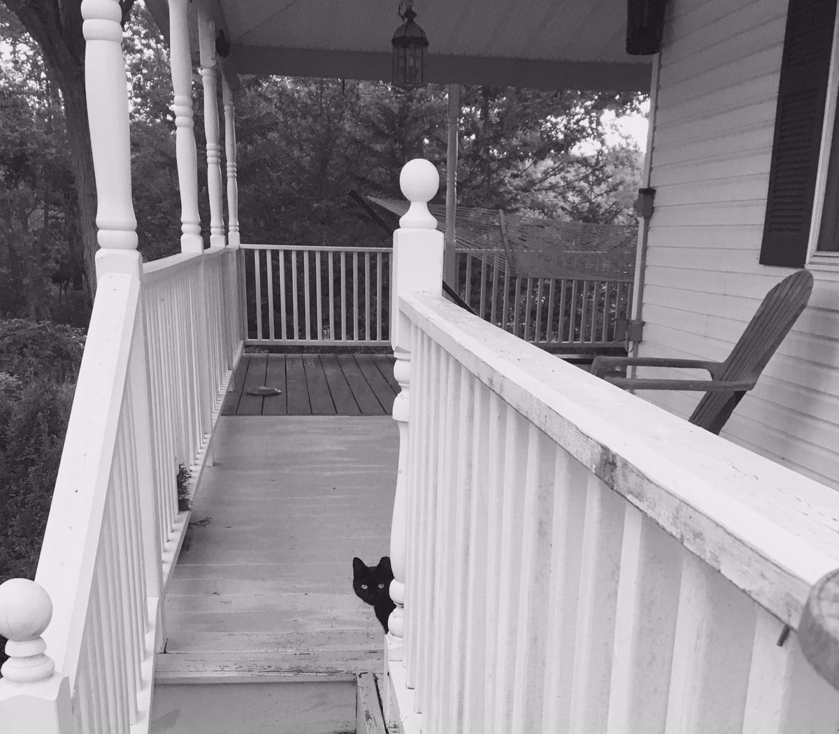 BayBoyWonder's tweet photo. Mum was greeted by six well-fed snakes in the hay barn last night. Said cat is hiring out her work, might get sacked. #lazycat https://t.co/Ek9eenBtCO