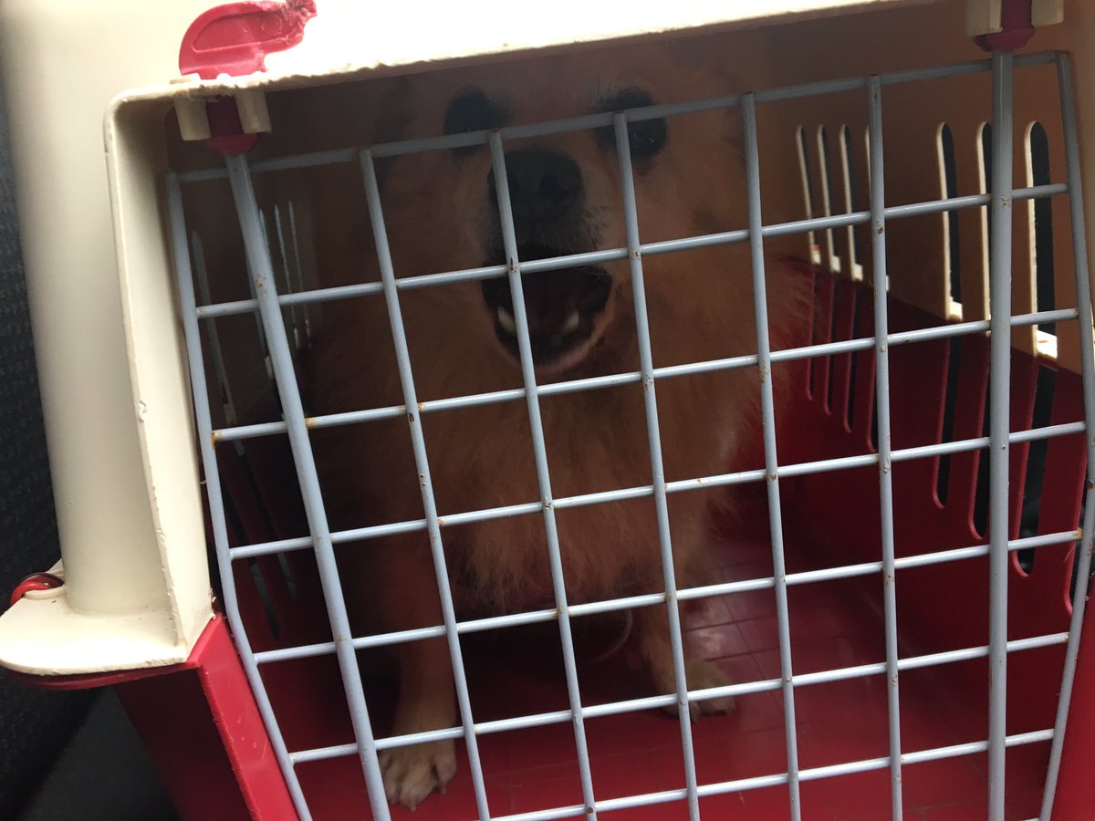 oceanmonkey7's tweet image. 