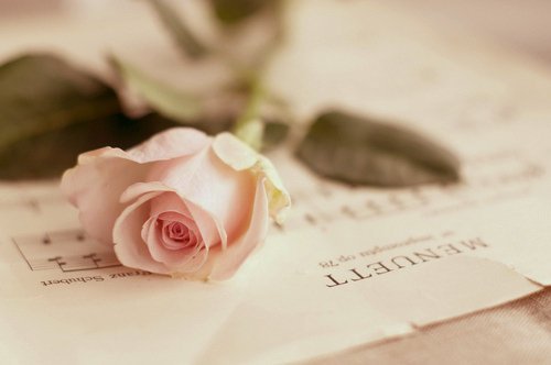 규장각 각신들의 나날 中

"물고기가 물을 만나 용이 되는 곳, 그곳이 규장각이다.내가 너희들이 용이 되어 마음껏 노닐 수 있는 물이 되어 주겠노라.더 크고 강한 이가 되고 싶다면, 나는 더 깊고 넓은 물이 되어 줄 것이다."