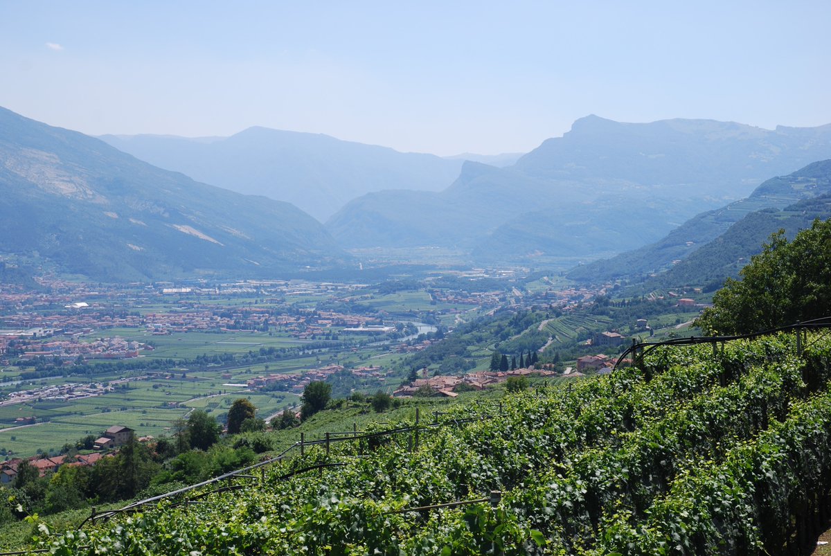 NicFairhurst's tweet photo. Scouting for new bike routes in Trentino, it's a tough job but someone has to do it! #bicitours #trentino #bici #vino #newbusiness https://t.co/XPkmArEbR3