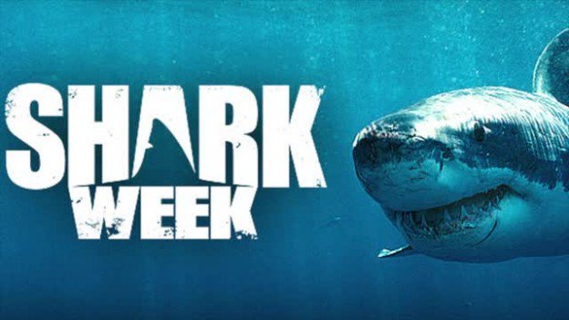 wbd's tweet photo. 'Shark After Dark' is returning to @Discovery! Don't miss your chance to dive into more #SharkWeek with @EliRoth! https://t.co/l8jUNh3LIH https://t.co/9zvXlYdtt2