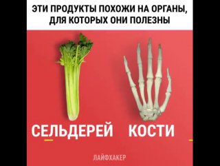 Условие фано информатика. Мем достижения для которых ничего не нужно делать. Имбирь похож на желудок. Продукты которые похожи на органы. Для которых.