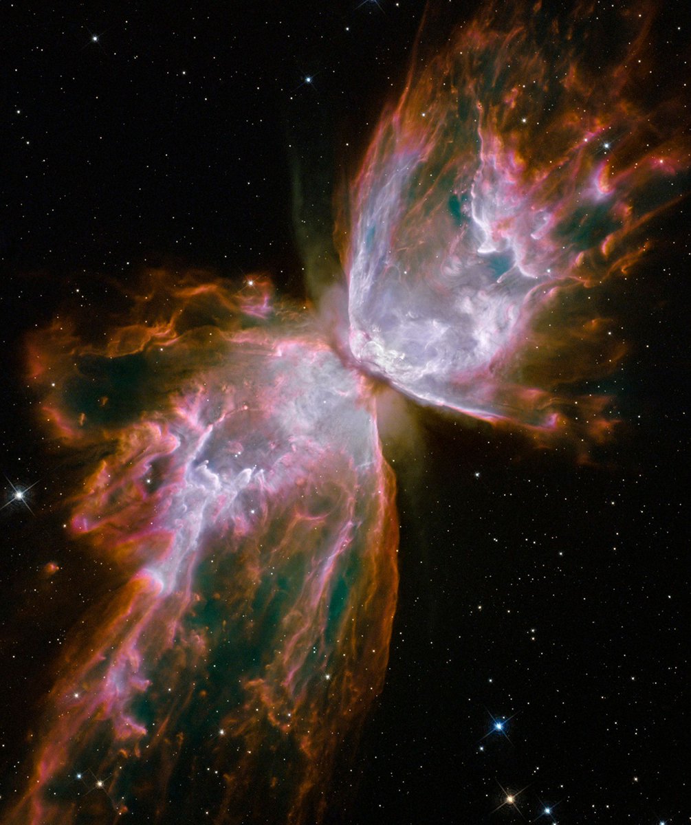 sheilacash's tweet photo. Is the #Universe #Conscious? https://t.co/2KfGjBdOop It stands to reason that #humans follow #evolutionaryimpulse. #ConsciousEvolution https://t.co/rw8mpPutBS