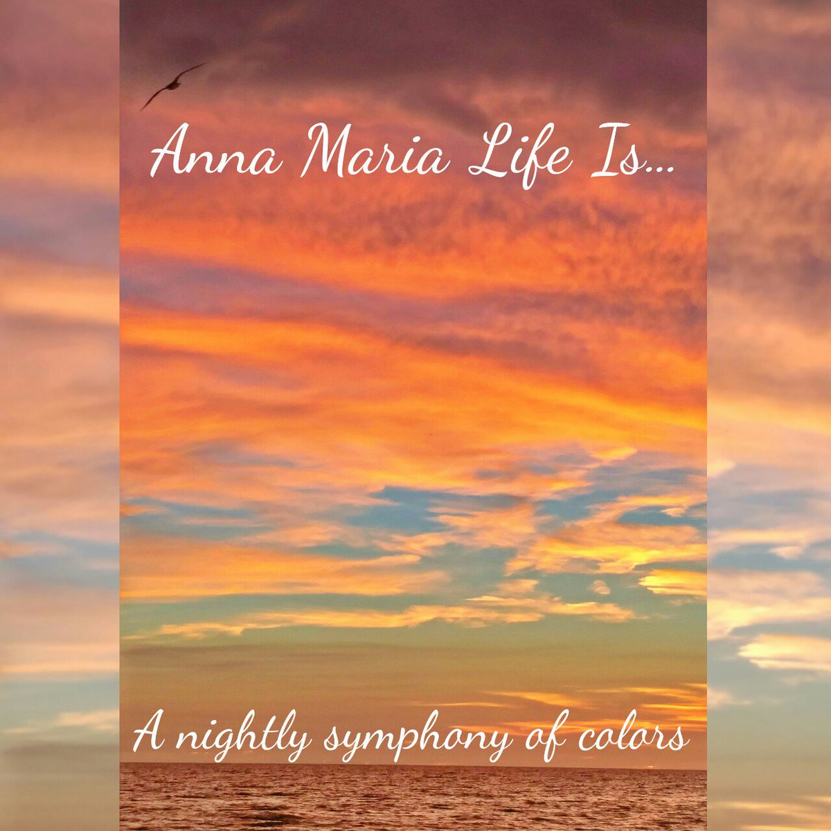 AnnaMariaLife's tweet photo. Find your Anna Maria Life at https://t.co/yMY8jabJvC https://t.co/buYzXY3co7