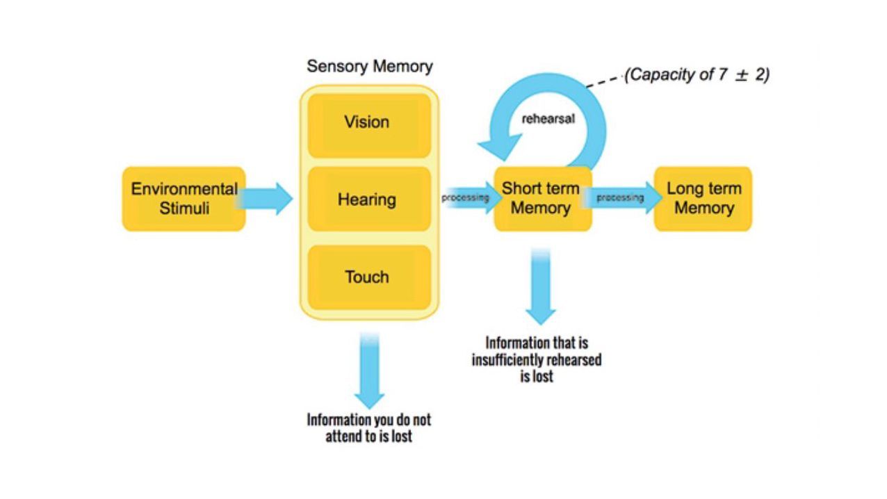 Human Memory Diagram