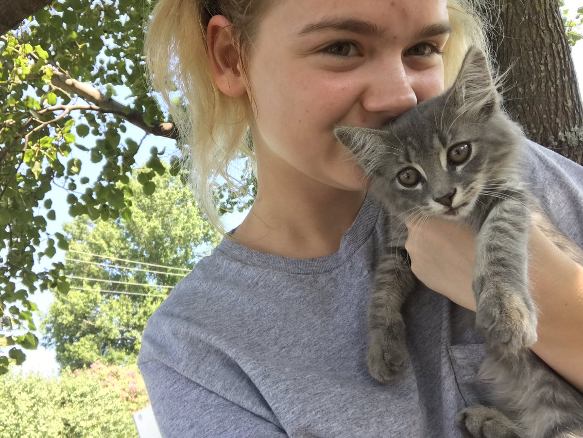 Cathartic05's tweet photo. Hi guys I just want to update y'all as of today me & zoe have 8 cats. #catshack #allcatswelcome #nevertoomany https://t.co/BsgYwsmFXg
