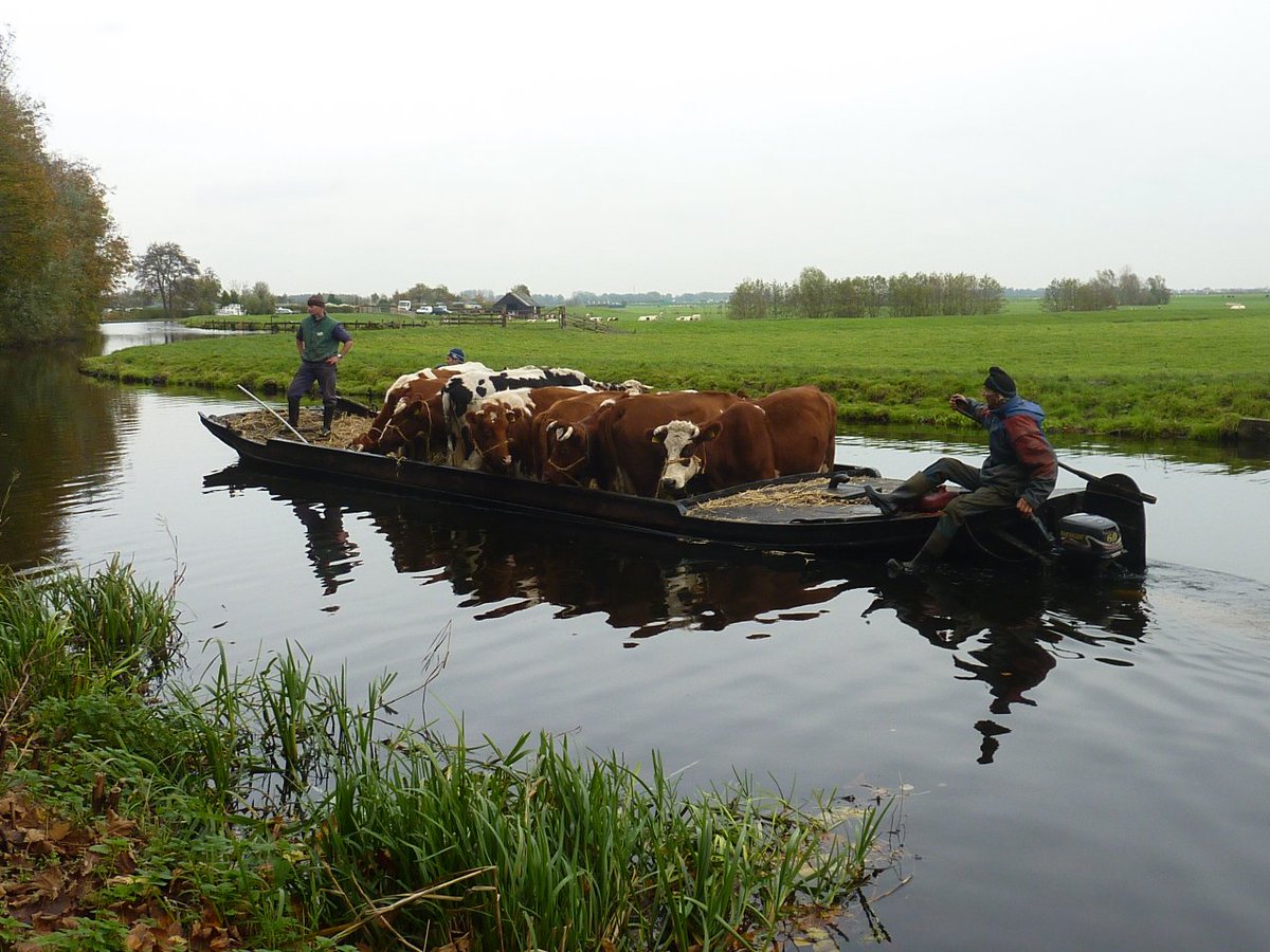 Hee kijk nou, een rundvaartboot.