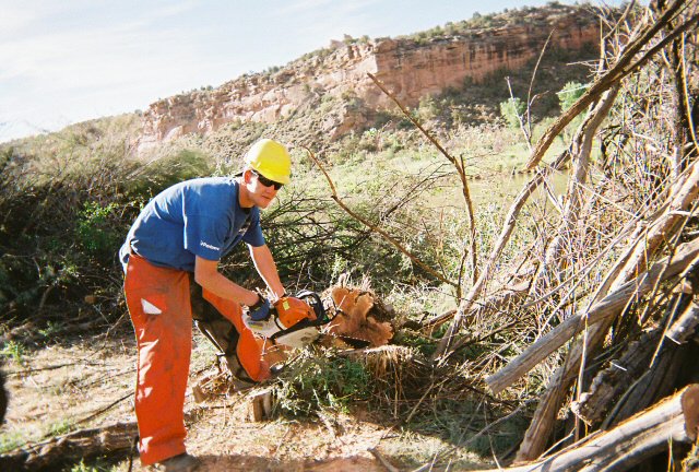 WCCC is #hiriing starting July 24th. Visit wccc.partners.org for info and to apply!!! #westerncoloradoconservationcorps #americorps