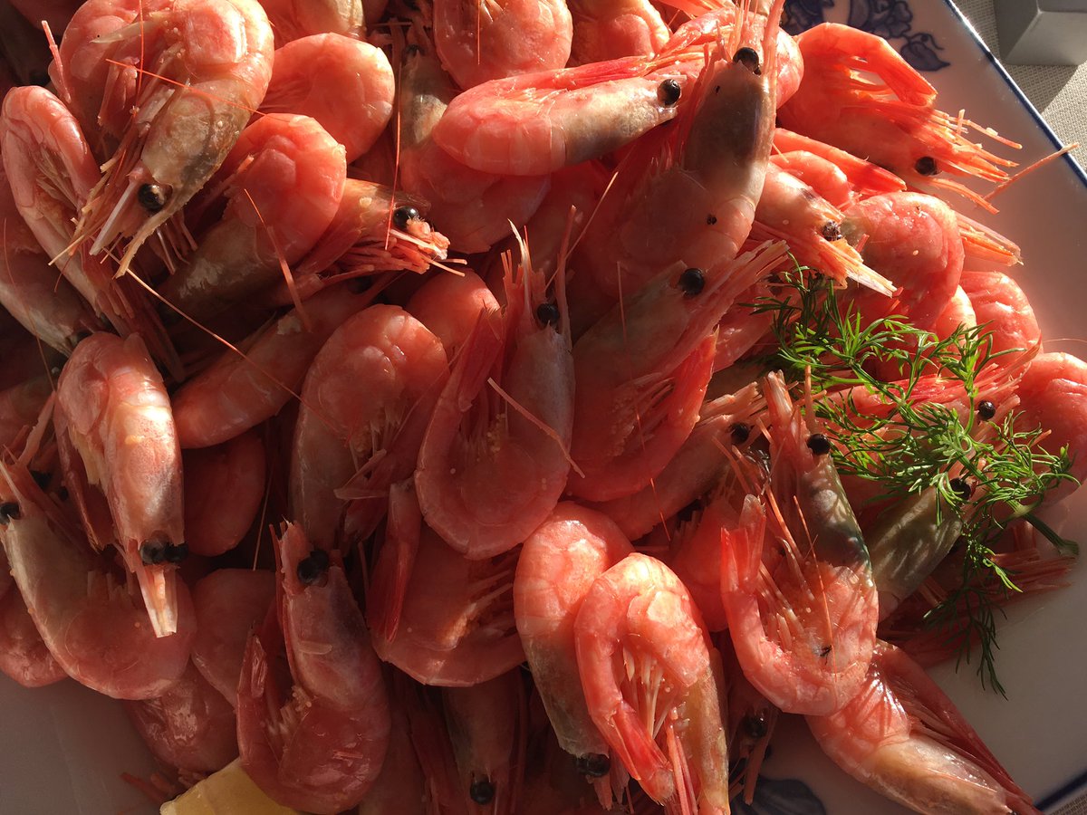 Metasub_Zurich's tweet photo. Yay! Swedish shrimp #metasub @metasub_sweden @metasub https://t.co/nrcr68kUVs