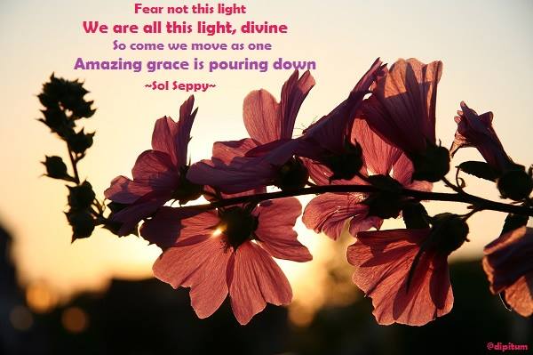 Dipitum's tweet photo. #quotes #GodisLove #quotesforlife #namaste #DivineOneness #Love #Gaia #infiniteMe #infinitelove #infiniteunderstanding https://t.co/gfhzeHLI4Q