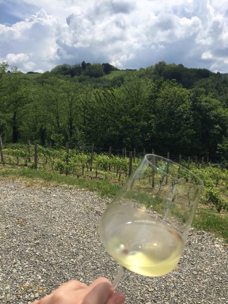 Icollidelbio's tweet photo. @Icollidelbio #timorasso #territorio #collitortonesi #aperitivo #fausto #vignemarinacoppi https://t.co/vVfojyHN01