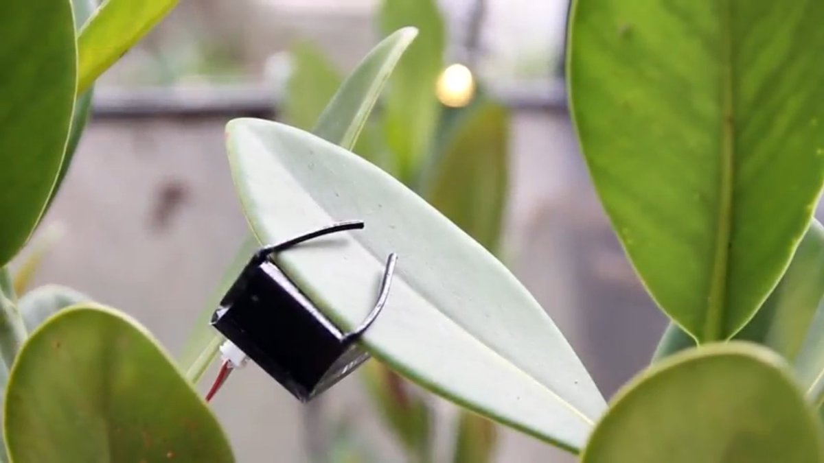 egusmaop's tweet photo. A novel low-cost chlorophyll fluorescence sensor for environmental monitoring. @InovaMinas #inovaminas2017 @fapemig  https://t.co/0TY0mHaree https://t.co/Z0RpyzKnWC