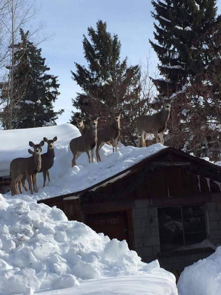 Crossbow Productions tweet media