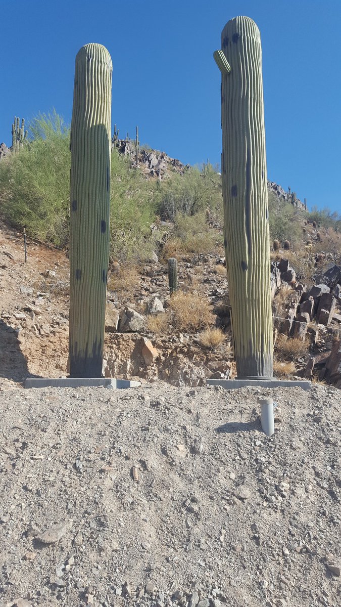 Devon Washington tweet media