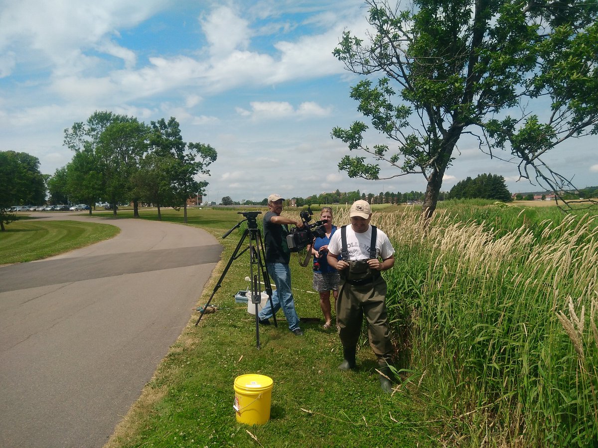 PoptartFenwick's tweet photo. Ecology of Charlottetown ponds #ecology Check out Compass tonight https://t.co/lhVSl99o5r