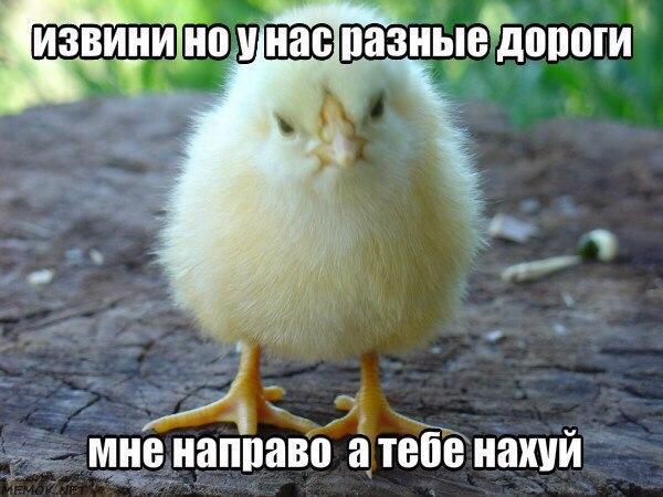 lama_Dmitrie's tweet photo. @FuckingEmo29 Еееее https://t.co/6IAxZHql1J