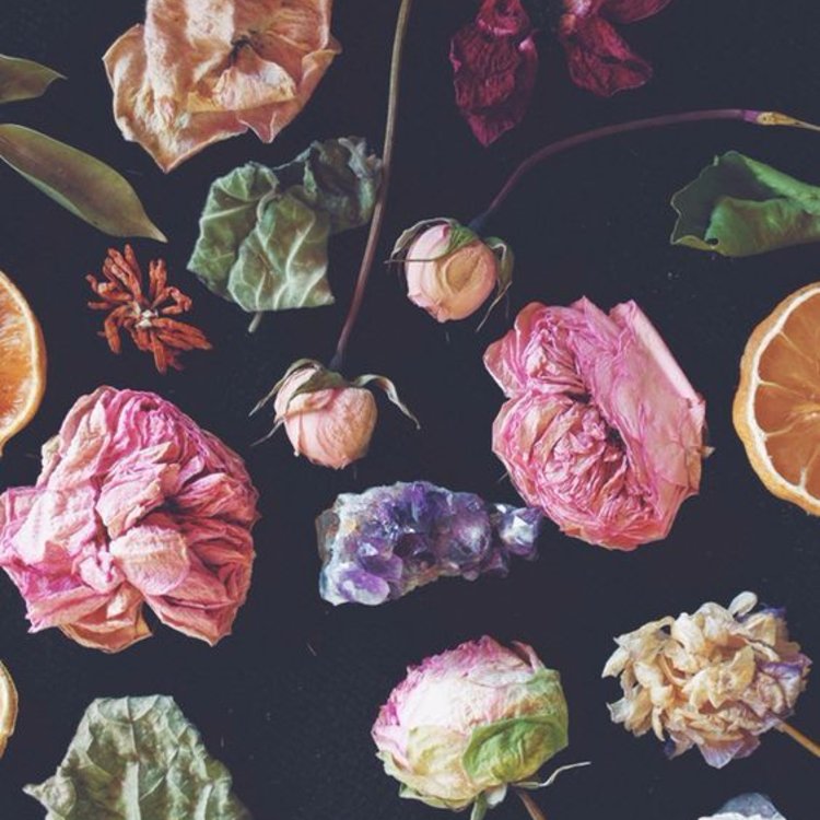 AlwaysinBloomst's tweet photo. Dry your bouquet by hanging it upside down, press the petals in a book, or soak them in silica gel -- great ways to preserve their beauty. https://t.co/S4wQS6QTdv