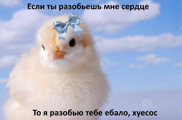 lama_Dmitrie's tweet photo. @FuckingEmo29 Офигенно ... https://t.co/s2OZCCMQbM