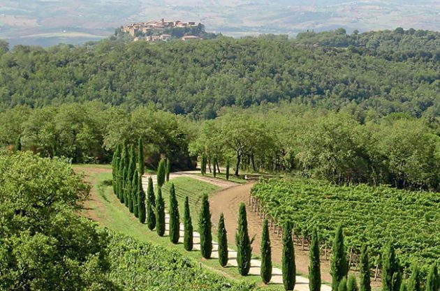 winesocial's tweet photo. #BrunellodiMontalcino #wine estate #PoggioAntico sold to #Belgian #investment co #AtlasInvest #Italy https://t.co/SHbGzlcWO5 via @WineSocial https://t.co/1jV125j9UG