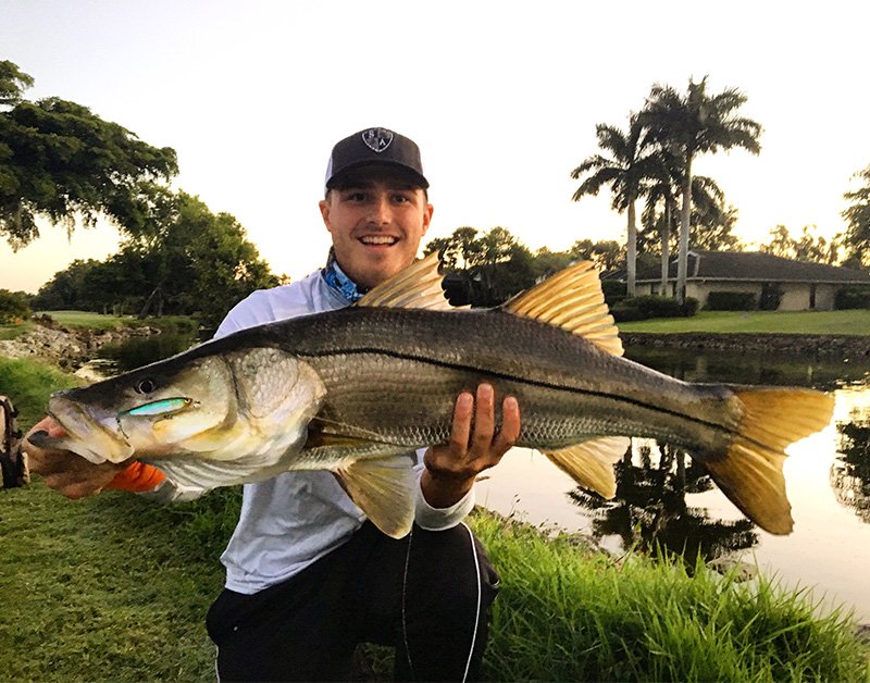 SteveDiossy's tweet photo. Tag us in your biggest most Ofishulz catch! This 37" Snook certainly earns that title!
#Snook #Ofishulz #Giant #Diossy #Fishing https://t.co/XaJocyGuJu